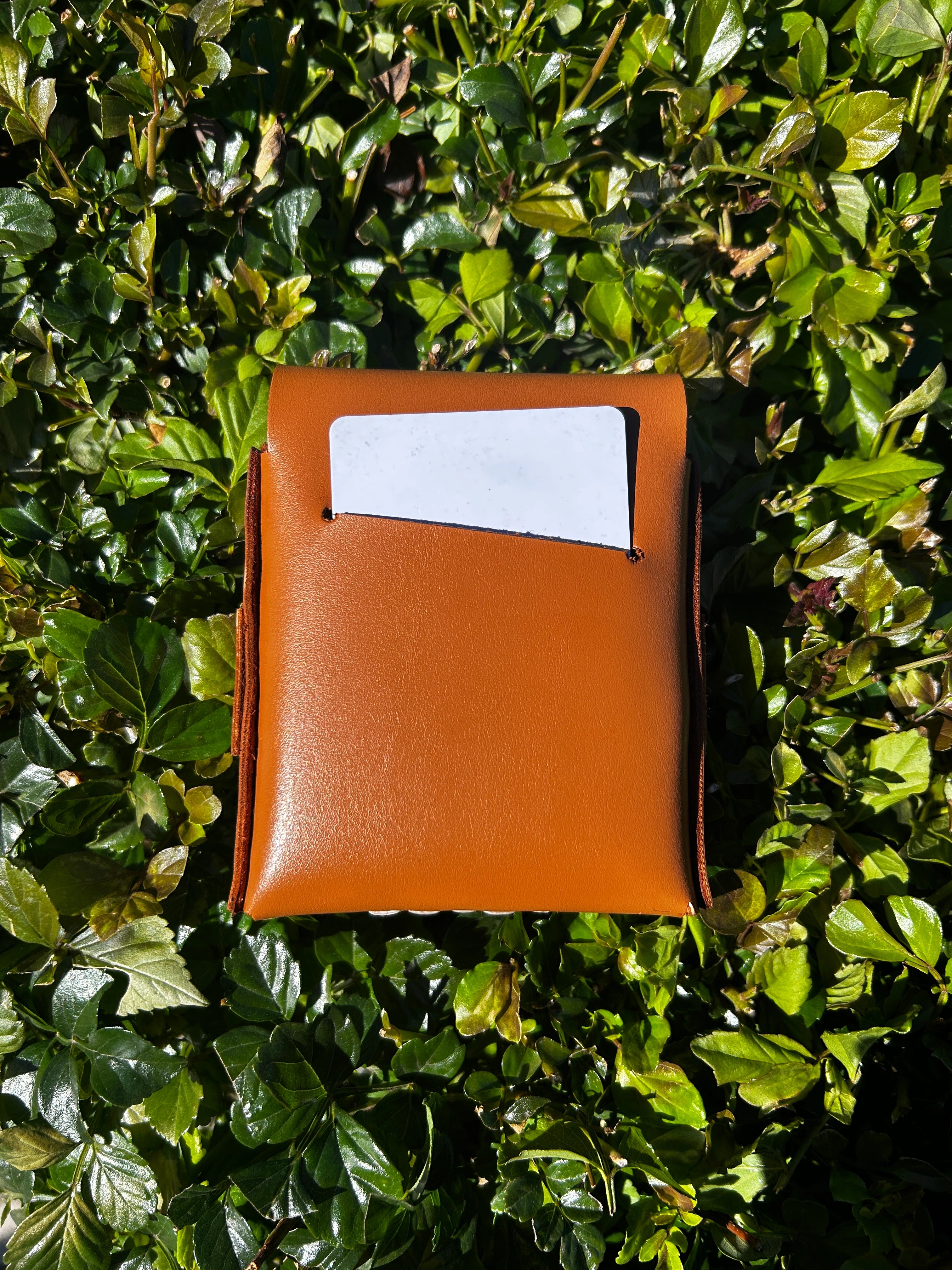 LE CARRÉ – L’ORIGINAL MARRON